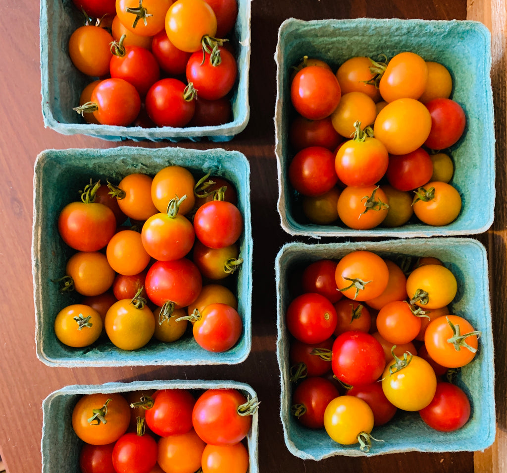 How to Freeze Your Summer Fruits & Vegetables with Souper Cubes